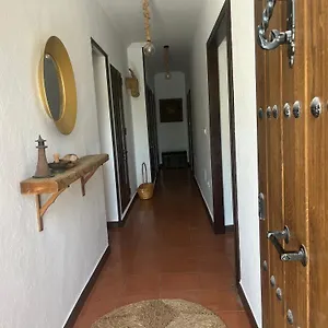 https://pino-beach.es-andalucia.com